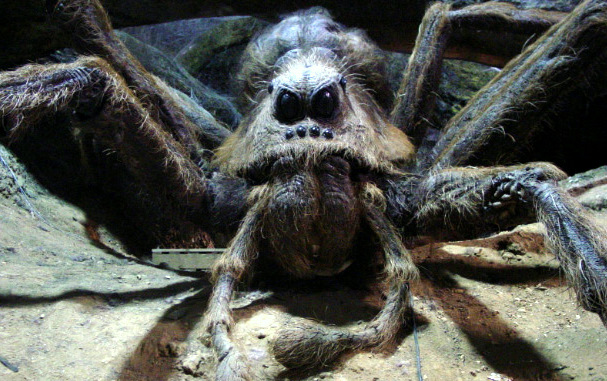 harry potter and the chamber of secrets spider