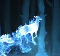 Doe-patronus.jpg (24 KB) Doe