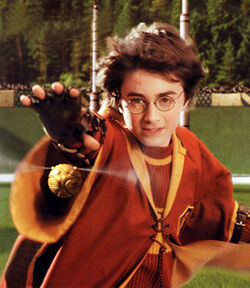 Boccino d'Oro, Harry Potter Wiki