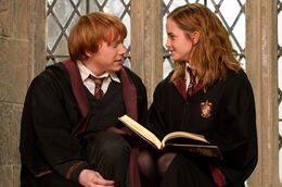 Ron-and-hermione-by-the-window-1050x0-c-default