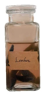 Банка с пиявками