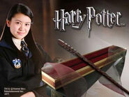 Cho Chang's wand