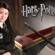 Noble Collection Harry Potter Wiki Fandom
