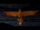 Fawkes in the Chamber of Secrets COS PC.jpg