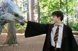 Harryandbuckbeak