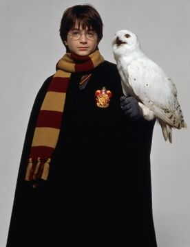 Coloriage Hedwige - Chouette Harry Potter - Un Anniversaire en Or