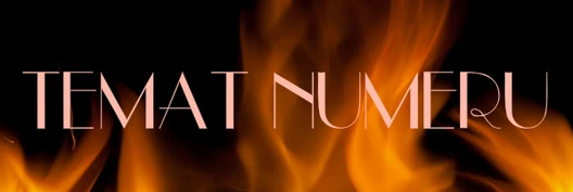 Temat6