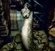 Nagini.jpg (134 kB) Nagini