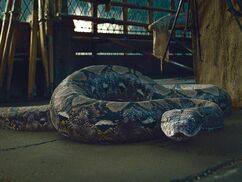Nagini.jpg