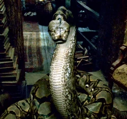 nagini