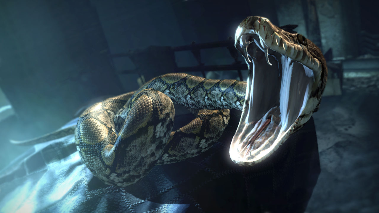 Snake, Harry Potter Wiki