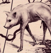 Nogtail-PM.png (76 kB) Nogtands