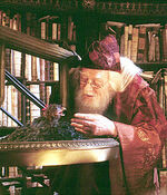 Dumbledorefawkes3