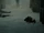 Unidentified Hogwarts students killed on the seventh floor