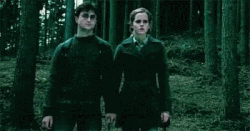 Hermione and Harry apparating