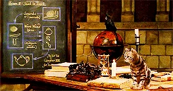 Animagus Wiki Harry Potter Fandom