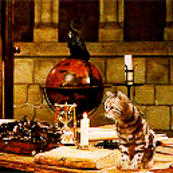 動物もどき Harry Potter Wiki Fandom 動物もどき Harry Potter Wiki Fandom