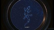 Lacerta