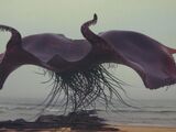 Lethifold