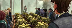 Linderina Crane interrupting Herbology class MA
