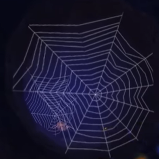 Humatt Perkins Spiders Web