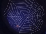 Cobweb