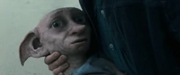 La morte di Dobby