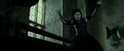 Bellatrix Lestrange frozen DHF2.png