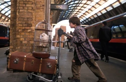 Harry-pushes-his-trunk-at-kings-cross-1050x0-c-default
