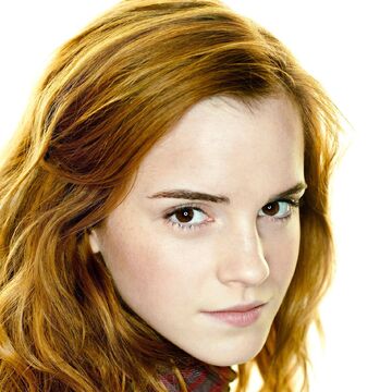Hermione Granger Harry Potter Wiki Fandom
