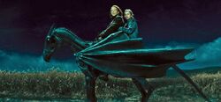 Bill and Fleur on Thestral