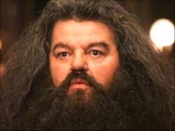 Hagrid6.jpg (7 KB) Rubeus Hagrid