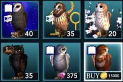 HogwartsMysteryOwls