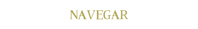 Navegar.png