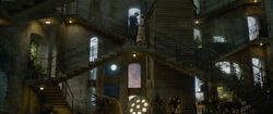 Newt i Bunty