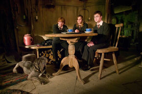 Tea-with-hagrid-and-fang-1050x0-c-default