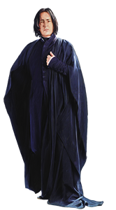 01 snape pnt ca hpe6