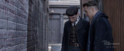 Credence i Graves