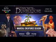 Fantastic Beasts feature in Harry Potter- Puzzles & Spells with the Magical Creatures Season Event!