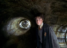 Harry-in-the-chamber-of-secrets-1050x0-c-default