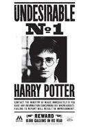 Unerwünschter Nr. 1 Harry Potter Poster 01