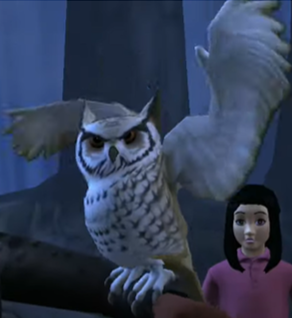 Owls, Pottermore Wiki