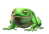 NatterjackToadPAS
