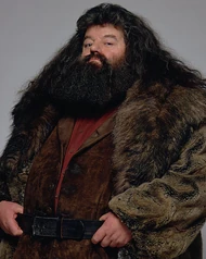 Rubeus Hagrid, geboren an diesem Tag im Jahr 1928