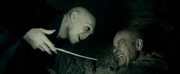 Voldemort interroga Grindelwald