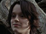 Tobias Snape