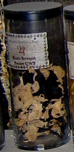 extra-strength-potion-qws-harry-potter-wiki-fandom