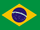 Brazilian National Quidditch team