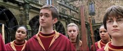 Harry-potter2-movie-gryffindor team