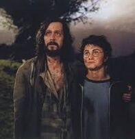 Harry and sirius 2